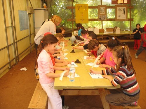 עולם האווז- מהביצה לאפרוח